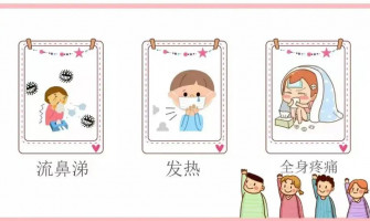感冒病毒和流感病毒:它們能在體外存活多久? 感冒病毒和流感病毒:它們能在體外存活多久?
