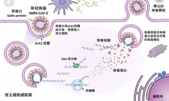 獨家/為什麼每年都要打流感疫苗?李秉穎點出關鍵:不單是病毒愛突變 獨家/為什麼每年都要打流感疫苗?李秉穎點出關鍵:不單是病毒愛突變