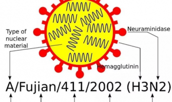 流感高發！ 關於流感病毒你該知道的N個真相！