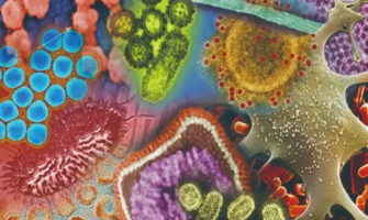 【甲型流感】症狀、潛伏期、測試、治療及預防方法全面睇