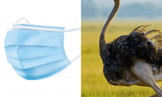 日本新口罩遇COVID病毒會發光    利用鴕鳥抗體作顯示劑 日本新口罩遇COVID病毒會發光    利用鴕鳥抗體作顯示劑