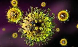 病毒感染的檢查方法與呼吸道病毒