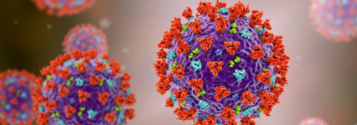 關乾病毒／細菌  什麼是流行性感冒病毒