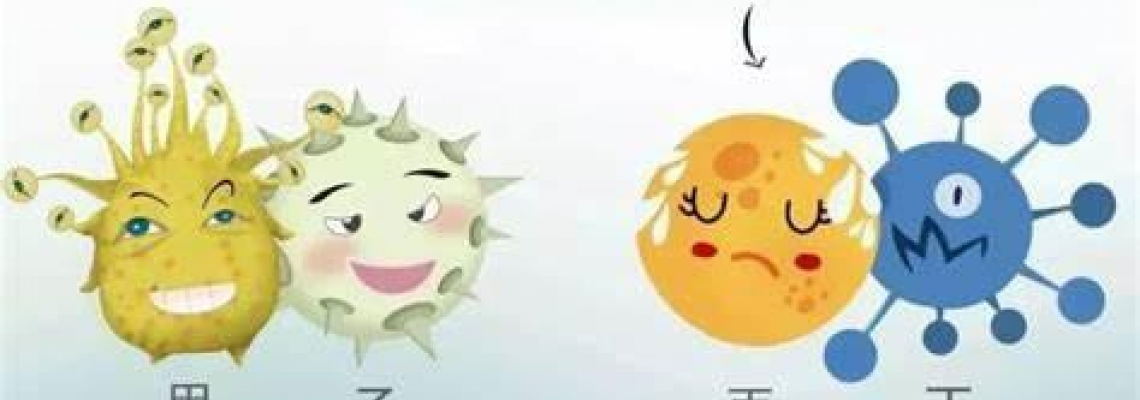 【甲型流感】 一文了解甲型流感症狀及預防,死亡率高嗎? 【甲型流感】 一文了解甲型流感症狀及預防,死亡率高嗎?