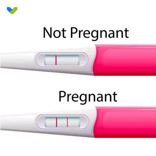 Pregnancy (hCG) / 1T Instant pregnancy test stick 1 pack