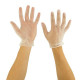 Blossom Vinyl Gloves (powder-free PVC gloves) (30 boxes minimum)