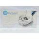 Thailand Sri Trang Dingqing gloves (10 boxes minimum batch) Thailand Sri Trang Dingqing gloves (10 boxes minimum batch)