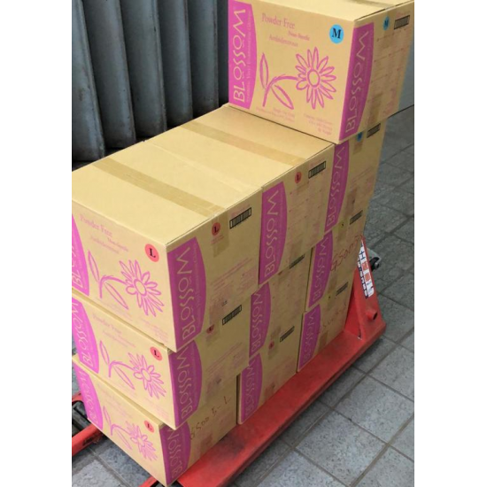 Blossom Vinyl Gloves (powder-free PVC gloves) (30 boxes minimum) Blossom Vinyl Gloves (powder-free PVC gloves) (30 boxes minimum)