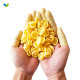 500g anti-static finger cot [latex gloves]