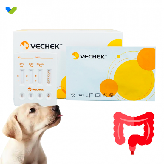 Canine enteritis three-in-one self-test kit