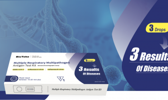 2019 冠狀病毒病2019