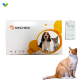 Feline white blood, AIDS-blood/serum self-test kit 